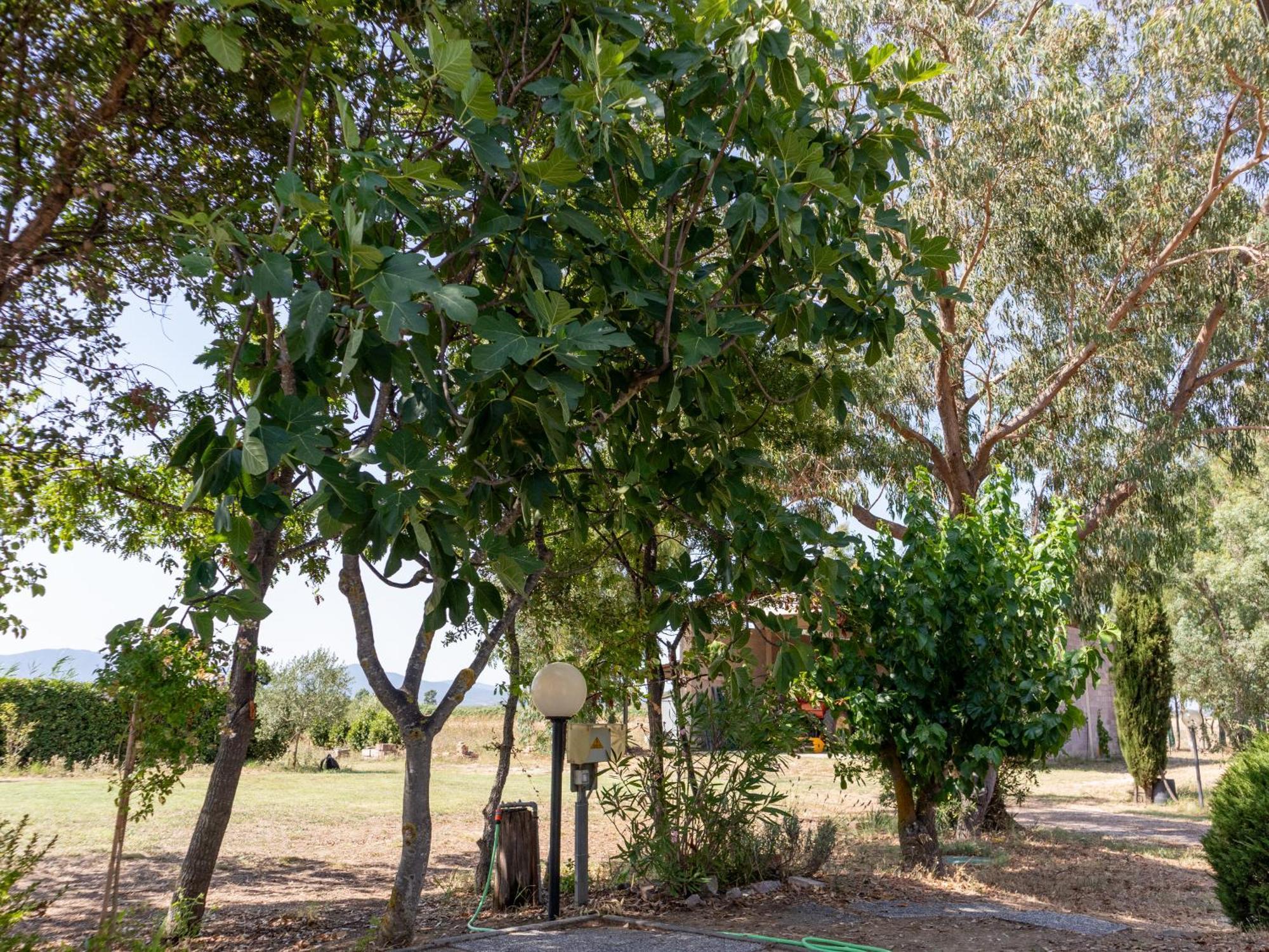 Agriturismo I Gelsi Marina Di Grosseto Eksteriør bilde